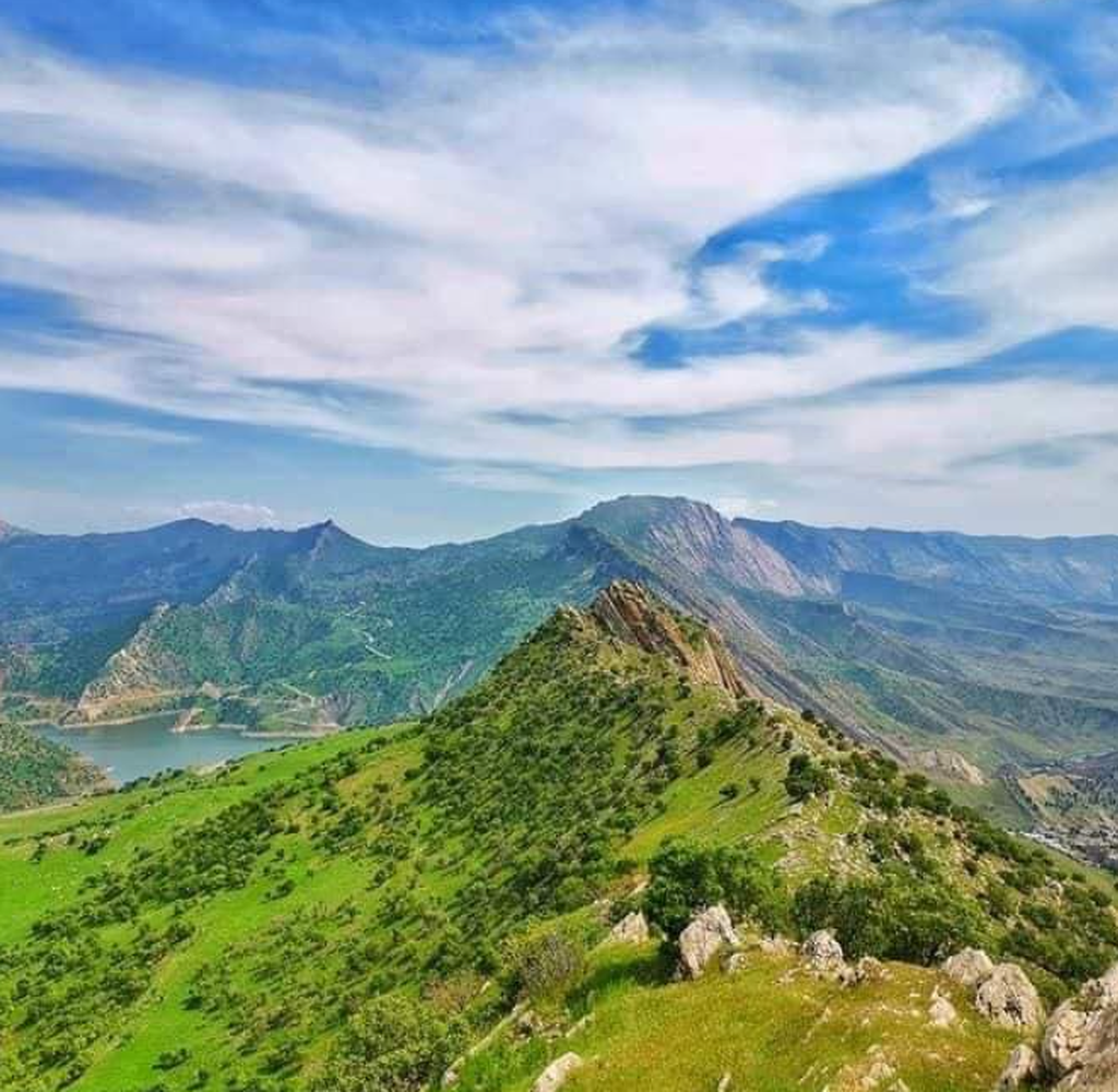 السليمانية