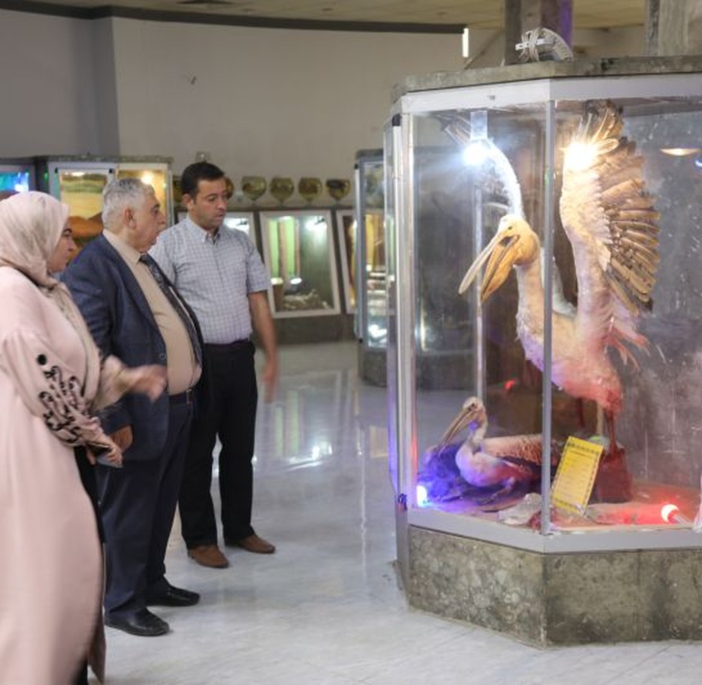 متحف التاريخ الطبيعي