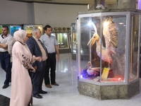 متحف التاريخ الطبيعي - صورة 1