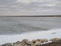 بحر النجف - صورة 4