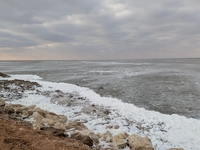 بحر النجف - صورة 1