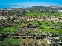 بحر النجف - صورة 5