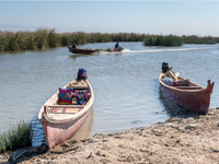 ميسان - صورة 4