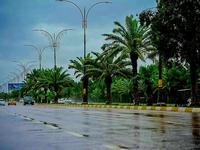 النجف الأشرف - صورة 5