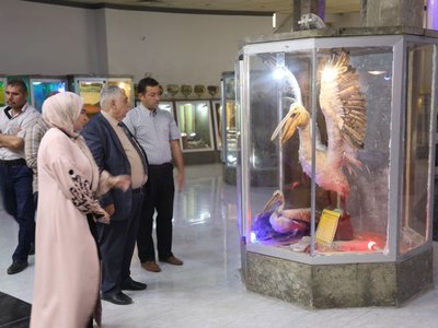 متحف التاريخ الطبيعي