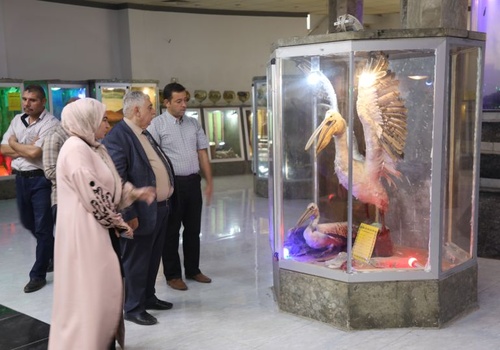 متحف التاريخ الطبيعي